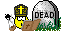 dead dead